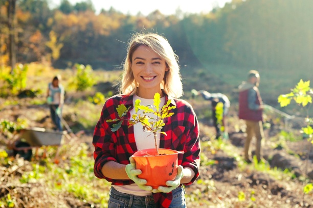 Foto: AdobeStock_ihorvsn